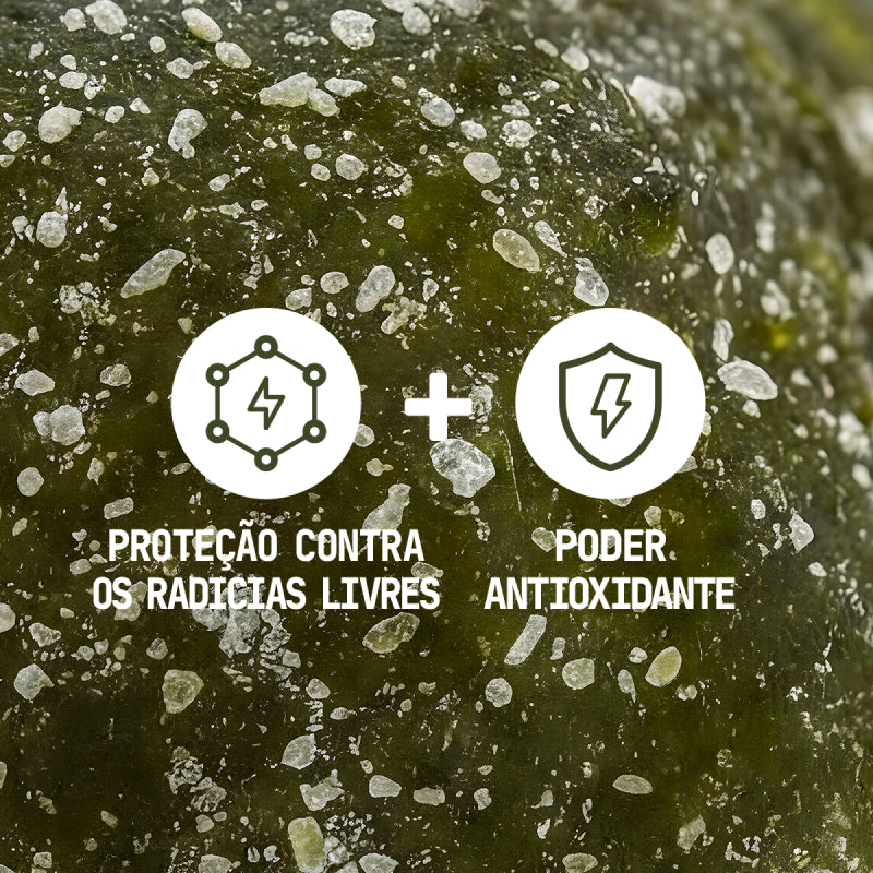 CoQ10 Matcha Guday - conceito produto